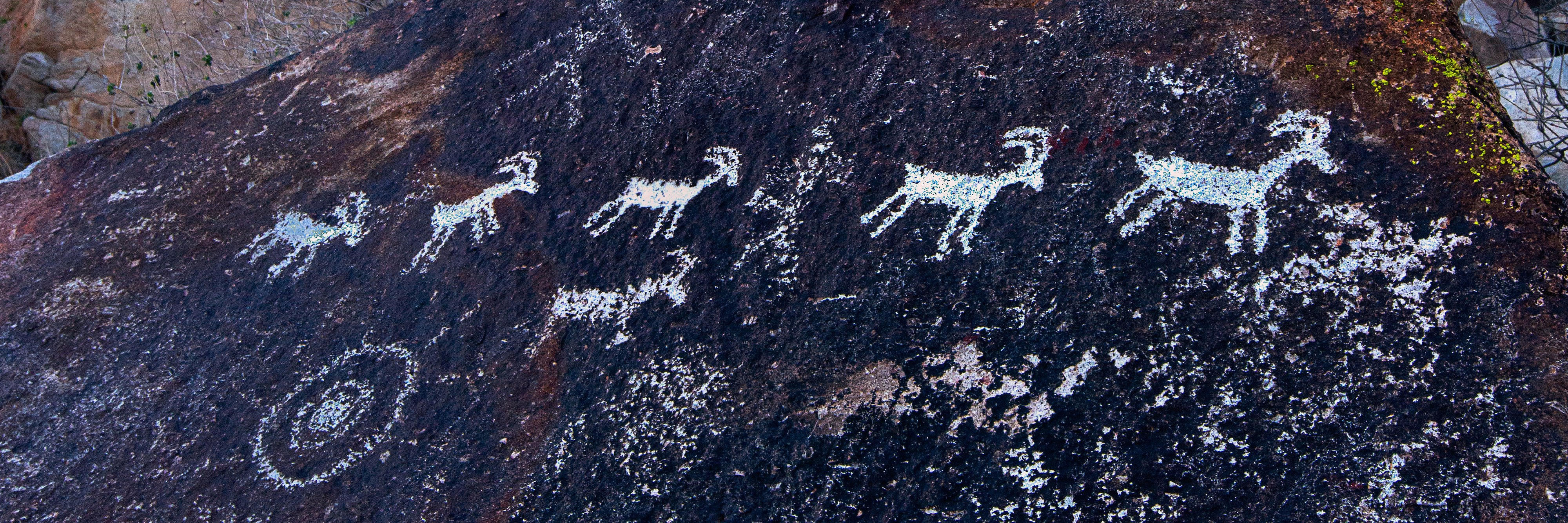 petroglyphs showing shepard and sheep from Grapevine Canyon, NV USA