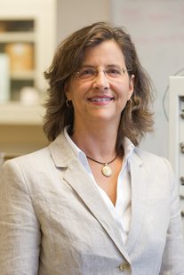 Professor Suzanne Baldwin