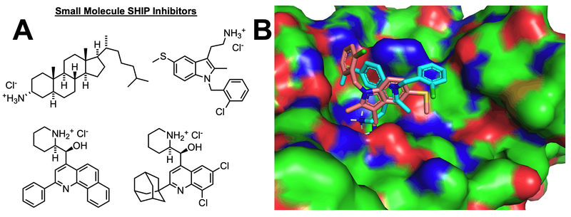 Structures of small molecule inhibitors of SHIP found through high throughput screening