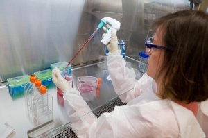Laboratory associate JoAnne Race prepares culture medium for mammalian cells