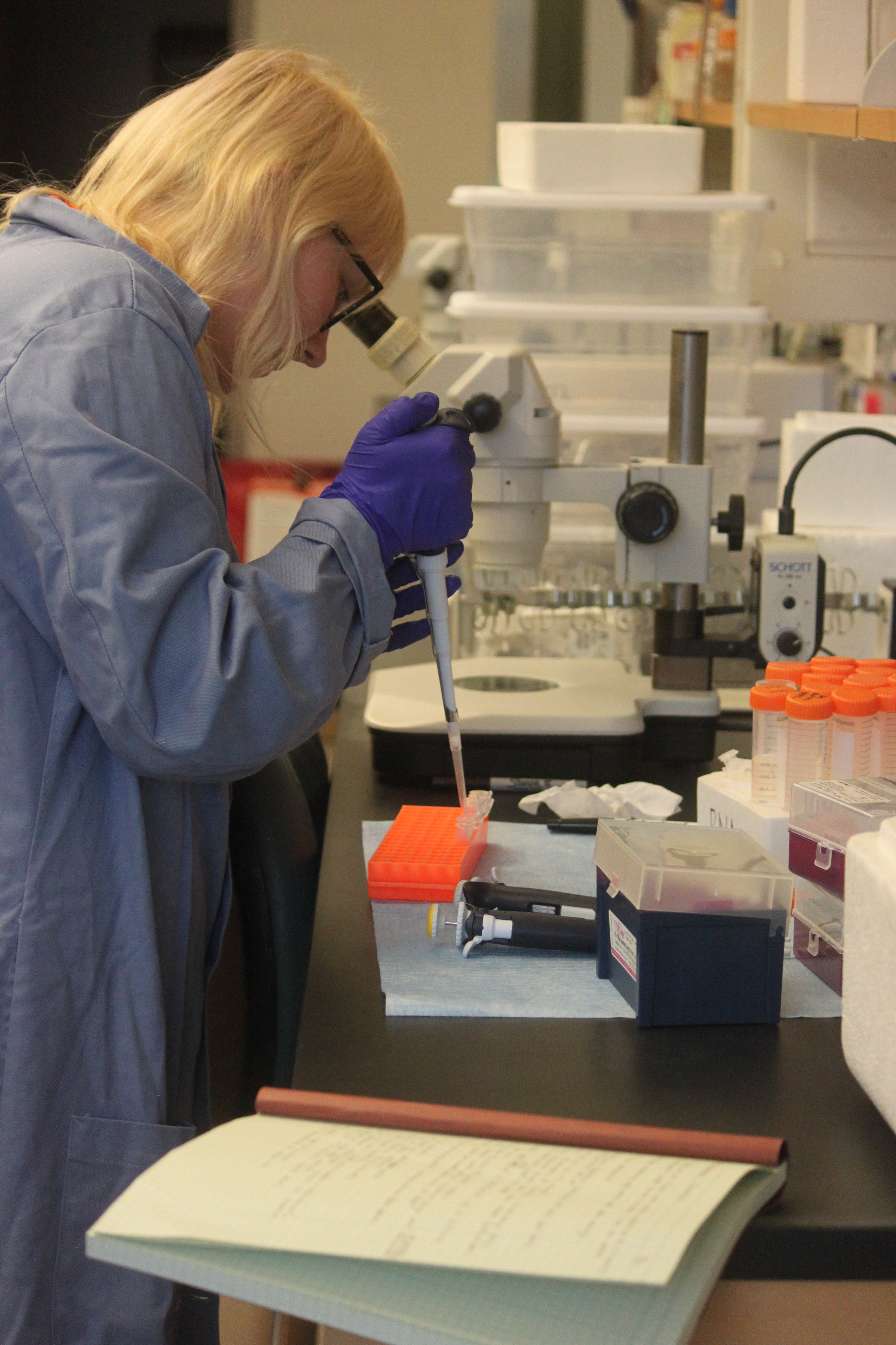 Student doing research in lab