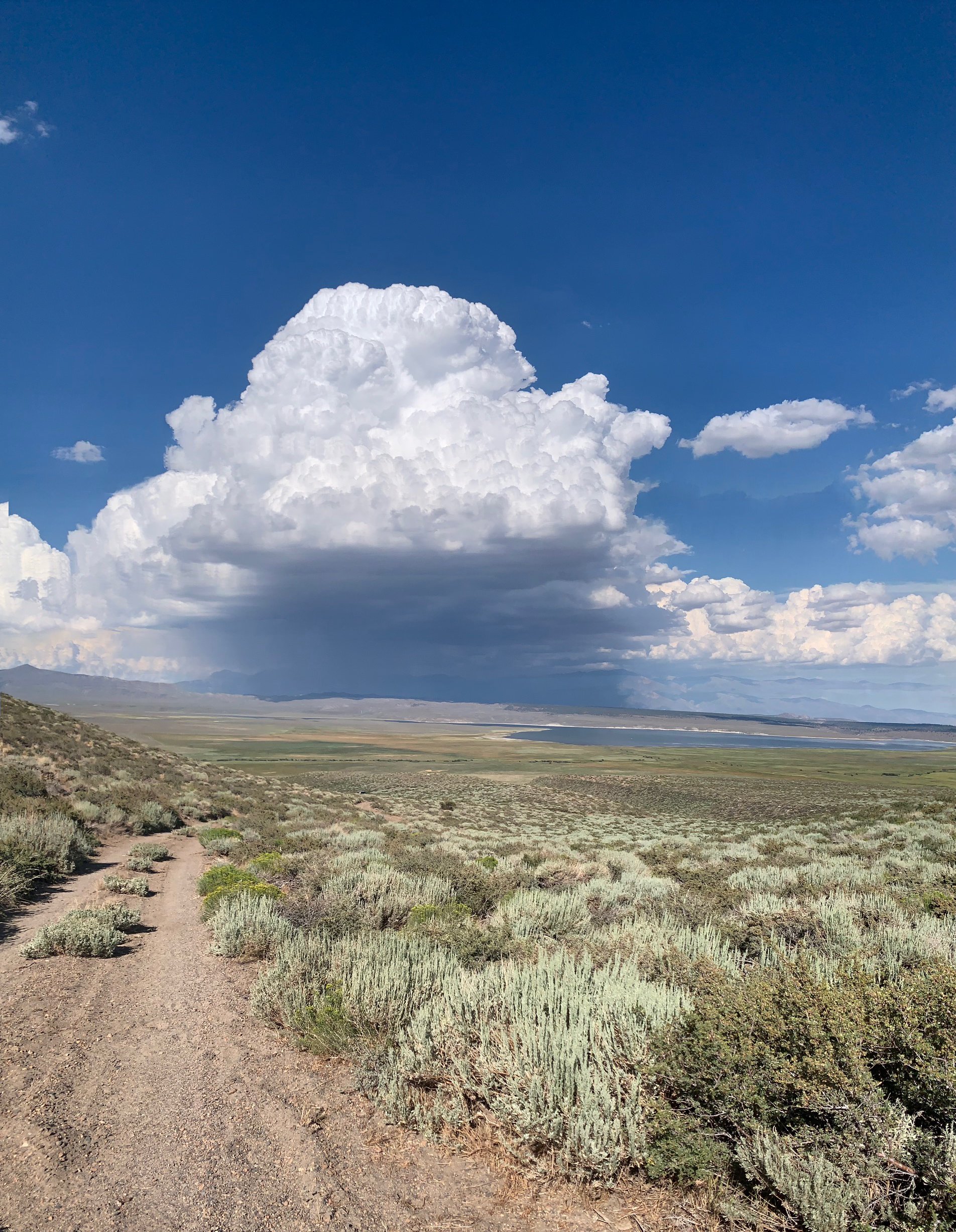 Summer storm over desert regions of Great Basin