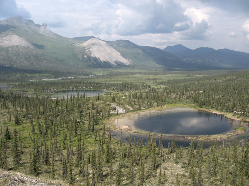 Lakes in boreal.