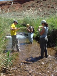 Laura Lautz, assistant professor of Earth Sciences in Syracuse University's College of Arts and Sciences, samples pore water from the streambed around a restoration structure with graduate students Ken Hubbard (left) and Lisa Kurian (center). 