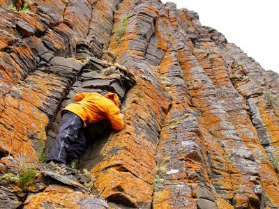 Seth Burgess, a geologist at the U.S. Geological Survey, studies a columnar joint in the Siberian Traps. Formed by the cooling of basaltic lava, these massive columns are peppered with orange lichen. (Photo by Scott Simper) 