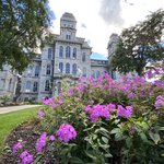 Purple Flowers with Hall of Languages