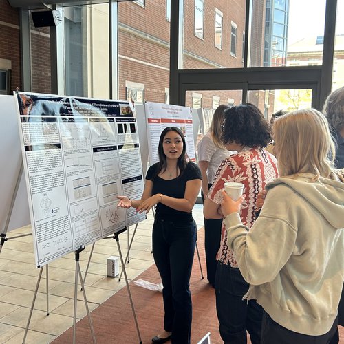 Individual standing in front of poster speaking to two individuals standing and listening to presentation. 