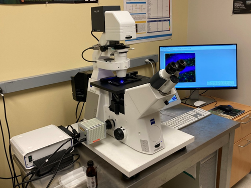 Zeiss AxioObserver Z1 widefield microscope in the Blatt Bioimaging Center.