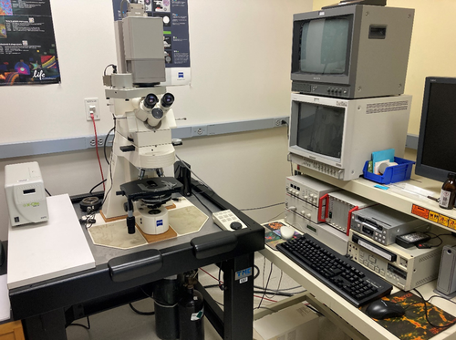 Zeiss Axioplan2 widefield microscope in the Blatt Bioimaging Center.