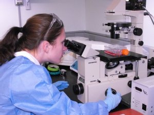 Chemistry graduate student Colleen Alexander examines cancer cells in a Syracuse Biomaterials Institute laboratory.