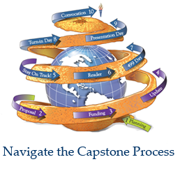 graphic of capstone project