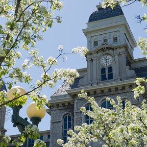 Hall of Languages clocktower behind blooming white flowers.