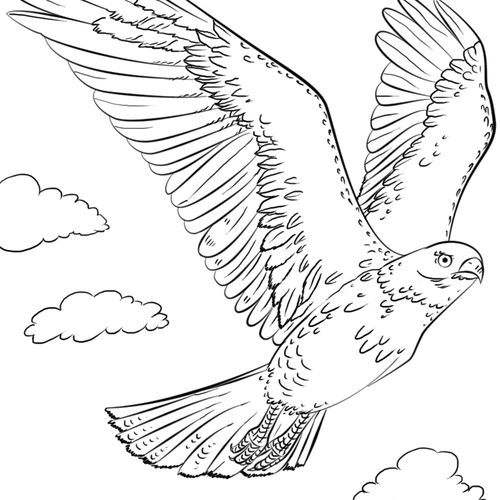 bird with upraised wings in flight