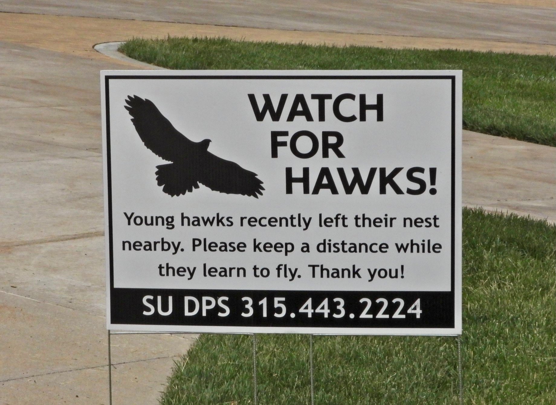 hawk sign