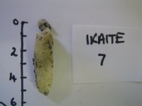 An ikaite crystal found in sediment cores obtained off the coast of Antarctica. 
