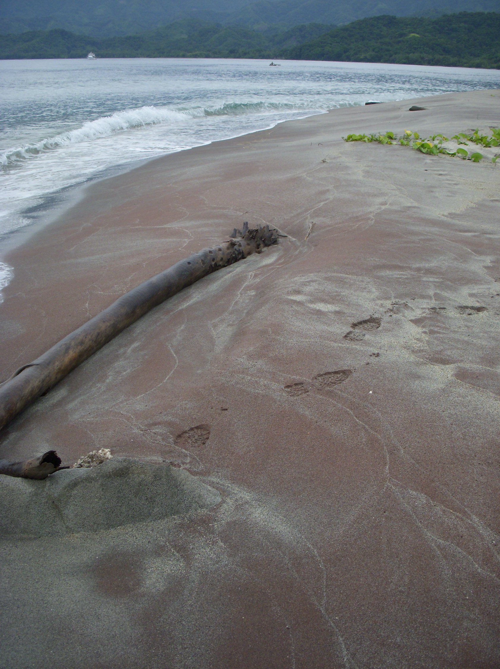 Garnet sand beach in Papua New Guinea