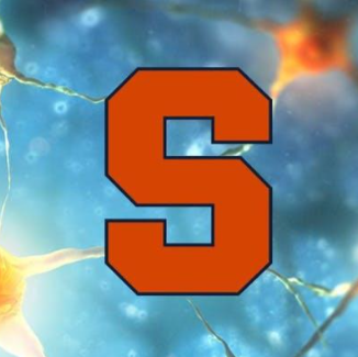 Syracuse block S over rendering of neurons.