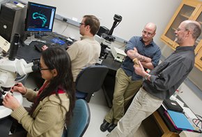 Members of the research team include (L-R) Mollie Manier, Stefan Lüpold, Scott Pitnick, and John Belote