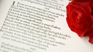 Photo of a Shakespeare sonnet and rose